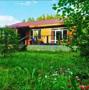 Саванна - 8