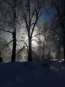 На Вазузу - 46