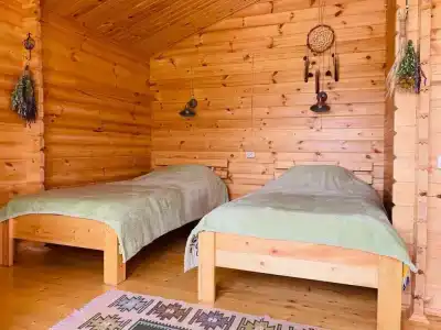 Дрозды - 16