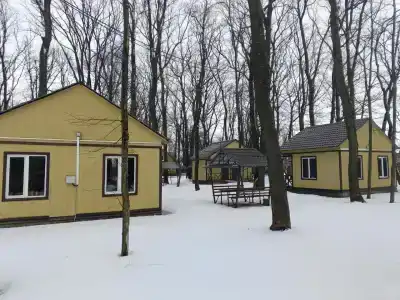Ласточка - 61