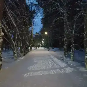 Анжерский - 33