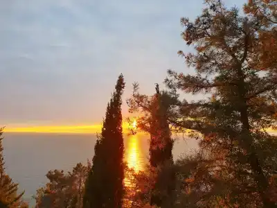 Победа - 21