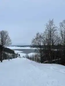 Эрцог - 32