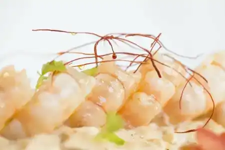 Regente Aragón Gastronómico - 43