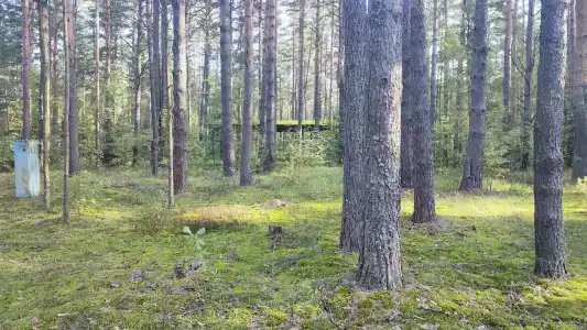 Волна - 95