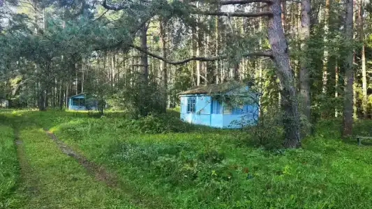 Волна - 59