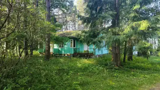 Волна - 81