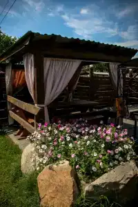 Бодрый Лось - 49