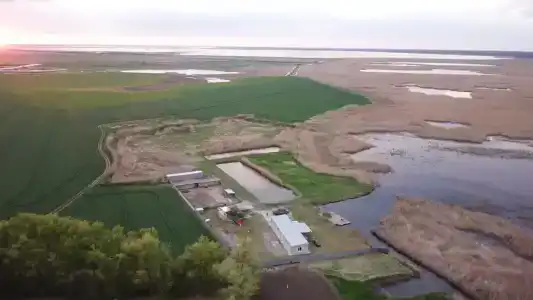 Оазис Станицы - 8