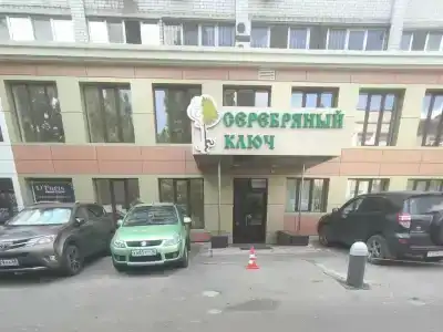 Серебряный ключ - 5