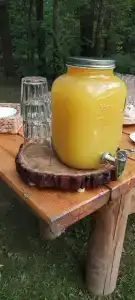 Лесная поляна - 28