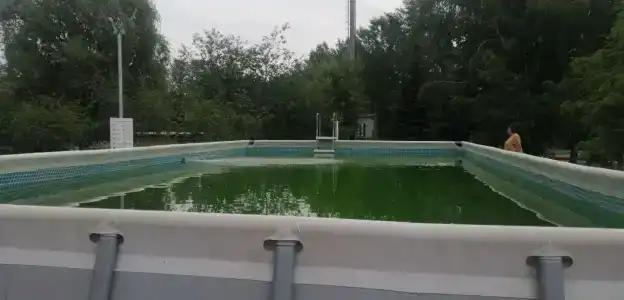 Стрежень - 21