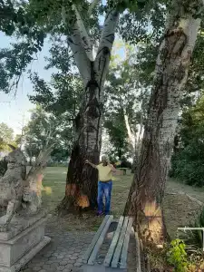 Мечта Тея - 57