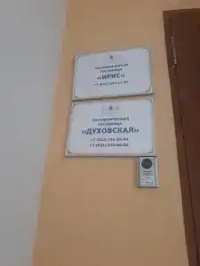 Ирис - 11