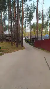 Лесная сказка - 16