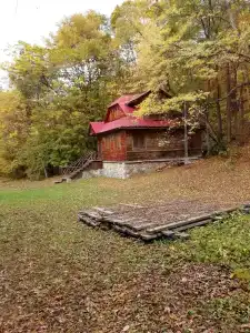 Бархатная Сихотэ - 17