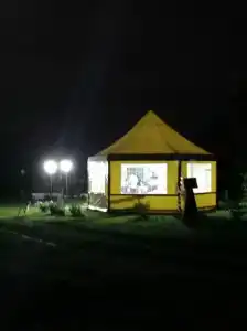 Бояринцево - 49