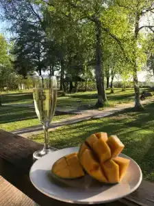 Березовый хутор - 9