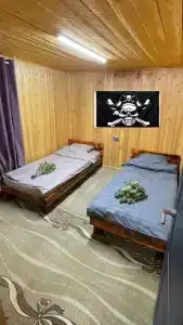 Веселый Роджер - 48