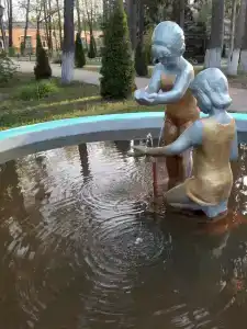 Борок - 25