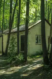 Монте-Карло - 87