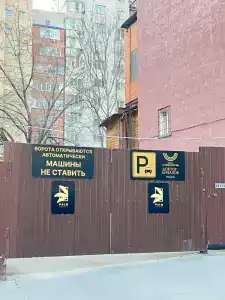 Пальма - 21