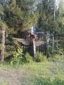 Живица - 42