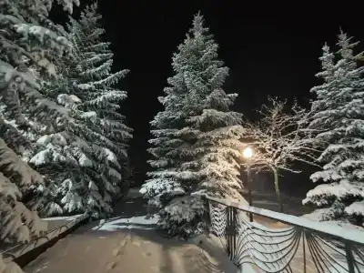 Металлург - 5