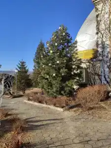Белый лебедь - 28