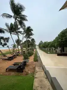 Pandanus Beach Resort & Spa - 58