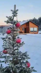 Семейный домик у озера - 3