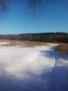 Монте-Карло - 74