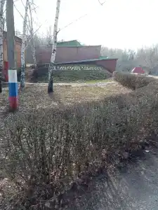Дубравушка - 54