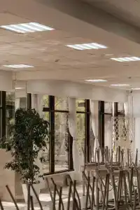 Голубые Ели - 12