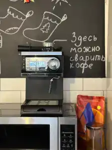 Капибара - 16