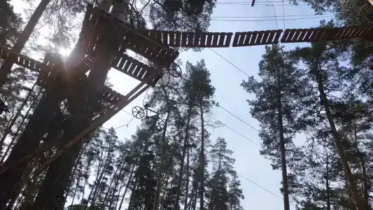 Лебяжье - 37