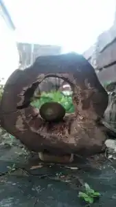 Узлы - 1