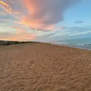 Золотые Пески - 84