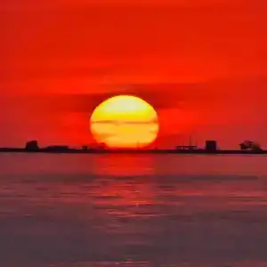 Сазан - 28