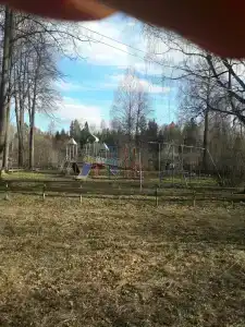 Веста - 13