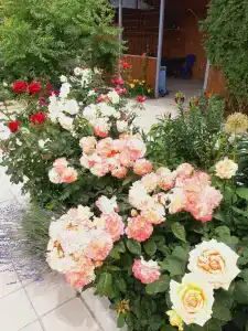 Отдых у моря - 3