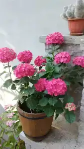 Симеиз-тур - 49