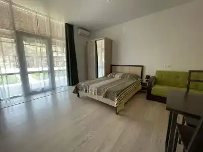 Вариант Омега - 45