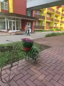 Пялово - 84