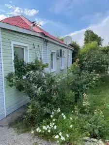 Ивушка - 8