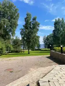 Чайка - 16