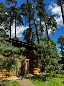 Сосновый Бор - 40