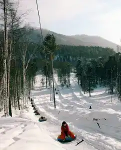 Прибайкальская - 50