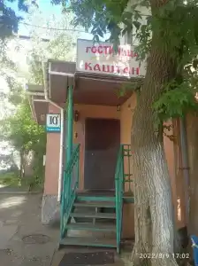 Каштан - 11