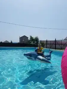 Фламинго - 2